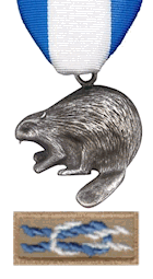 Silver Beaver Award and patch