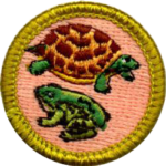 Reptile Amphibian Merit Badge