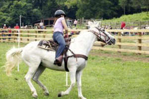Scout Rides a horse