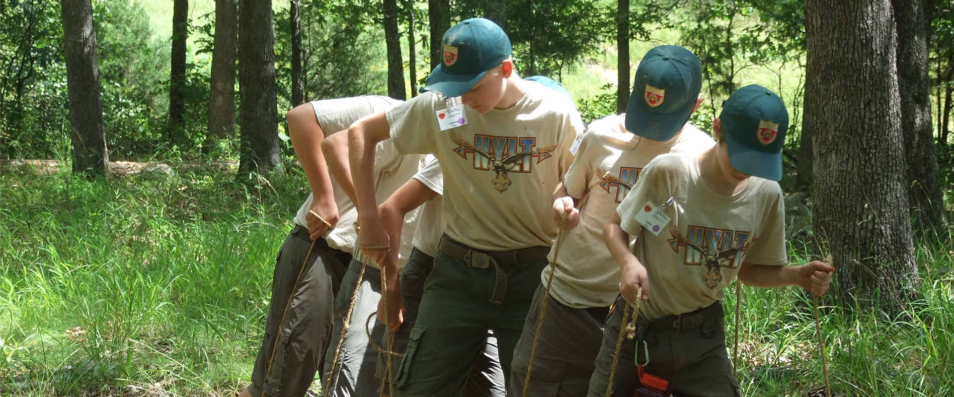 NYLT Banner Image