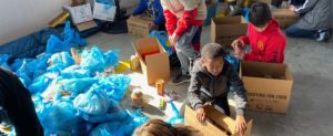 Scouts sorting canned goods
