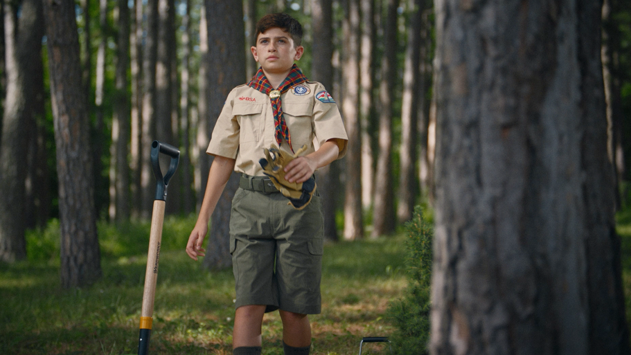 Scout in the woods