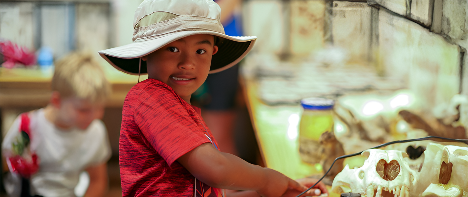 DOG-image-1-Picsart-AiImageEnhancer