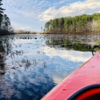 Pine Ridge Property Image