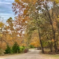 Beaumont Property Image