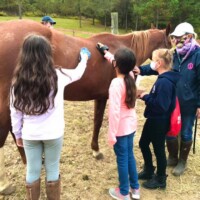 Beaumont Property Image