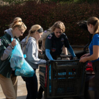 scouting for food photo