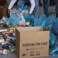 scouting for food photo