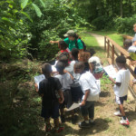 scouts learning about nature photo