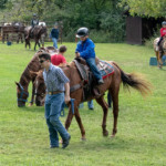 scouts on horses photo