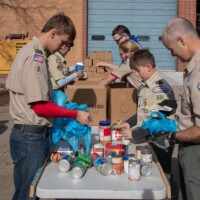 scouting for food photo