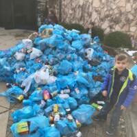 scouting for food photo