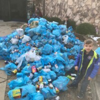 scouting for food photo