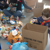 scouting for food photo