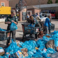 scouting for food photo