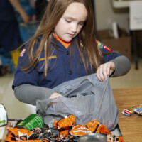 scouting for food photo