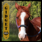 Gidget the horse graphic