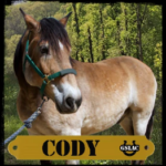 Cody the horse graphic
